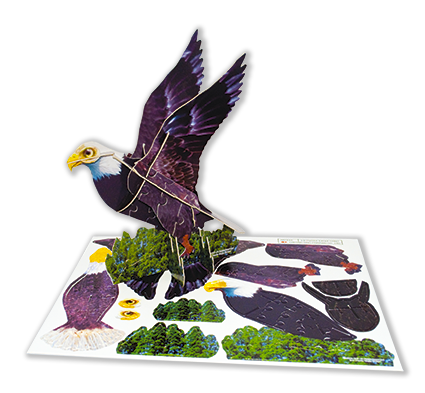 3d puzzle 3d pezzle_hawk